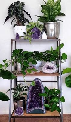 three tiered plant stand with various plants on it