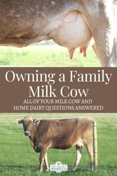 a cow standing next to a fence with the words owning a family milk cow on it