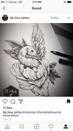 a drawing of a bird on top of a flower