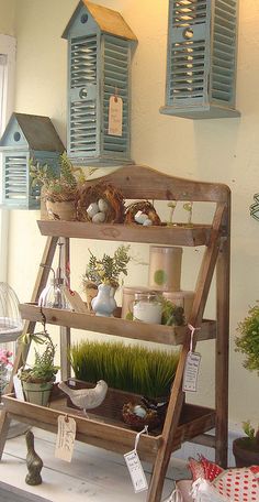 a shelf filled with potted plants on top of a wooden floor next to windows