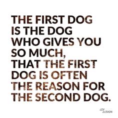 the first dog is the dog who gives you so much, that the first dog is often the reason for the second dog