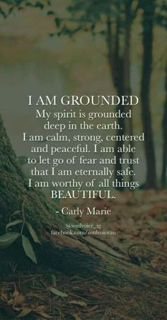 a tree trunk in the middle of a forest with a poem written on it that says, i am grounded my spirit is grounded deep in the earth