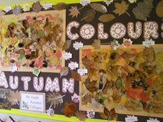 a bulletin board with autumn leaves on it and the words colors written in large letters