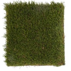 an image of grass that is on the ground for decoration or as a wall hanging