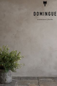 a potted plant sitting on top of a stone floor next to a sign that reads domingue architectural finishes