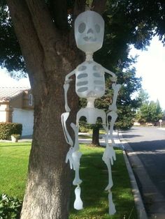 a skeleton hanging from the side of a tree