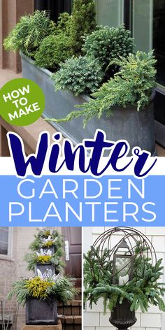 how to make winter garden planters