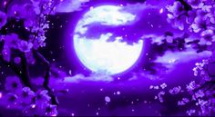 the full moon is shining brightly in the night sky with purple flowers and clouds around it