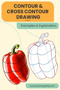 an orange and a red pepper with the words contour and cross - contour drawing