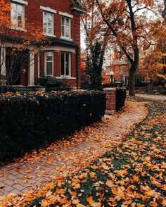 the leaves are on the ground in front of the house and trees with orange leaves