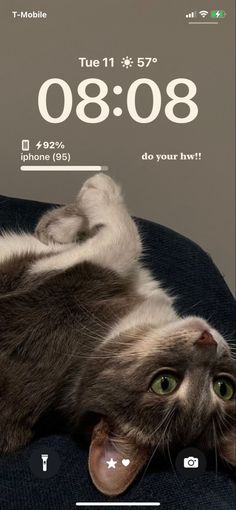 a cat laying on top of a couch next to a smart phone with the time displayed