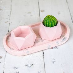 a pink tray with a small cactus in it