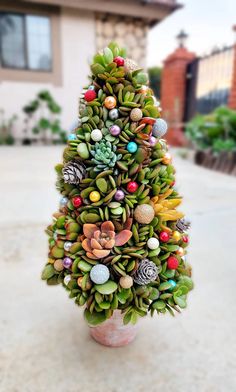 a small christmas tree made out of succulents