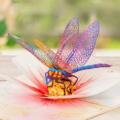 a colorful dragonfly sitting on top of a flower