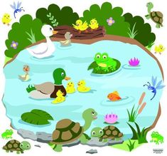 a pond filled with lots of different types of ducks and turtles swimming in the water