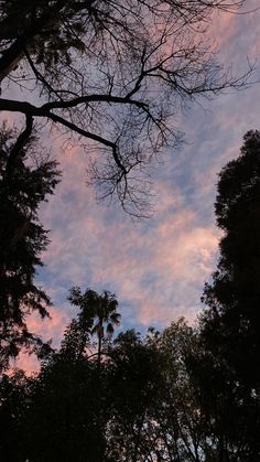 the sky is pink and blue with some clouds in it, as well as trees