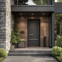 the front door to a modern home with potted plants