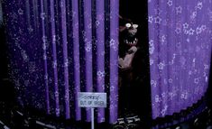 a purple curtain with stars on it and a sign that says surprise out of sight