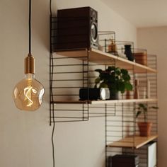 a light bulb hanging from the side of a wall next to shelves with plants on them