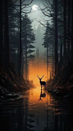 a deer standing in the middle of a forest at night