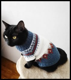 a black cat wearing a sweater sitting on top of a white chair next to a wall