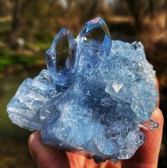 Celestite Metaphysical Store, Beautiful Crystals, Crystal Healing Stones, Rock Collection