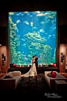 a bride and groom standing in front of an aquarium