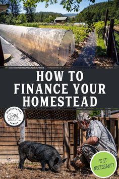 a man kneeling down next to a pig on top of a dirt ground with the words how to finance your homestead