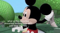 a mickey mouse saying what in the meeshka mooshka mickey did i just hear you say