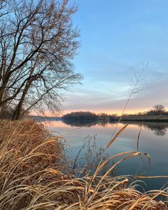 the water is still calm and there are no leaves on it or any other tree