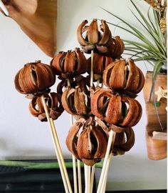 a vase filled with lots of brown flowers