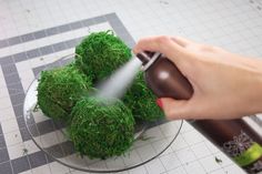 someone sprays moss in a glass bowl