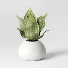 a white vase with a green plant in it