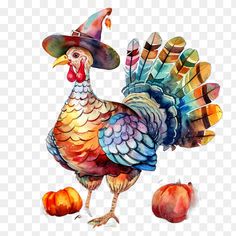 a watercolor painting of a turkey wearing a witches hat, hd png downloading