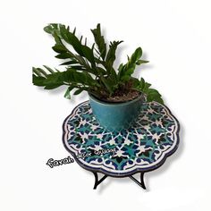 a potted plant sitting on top of a blue and white plate