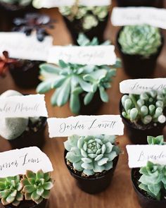 small succulents with place cards on them are sitting on a wooden table