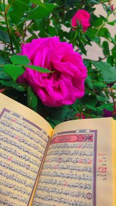 an open book sitting on top of a table next to a pink flower and green leaves