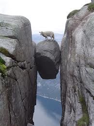 a sheep standing on top of a large rock formation with water and mountains in the background