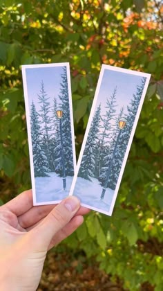 someone holding up two polaroid photos in front of some trees with lights on them