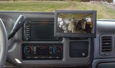 the inside of a car with two horses on it's screen and another horse in the background