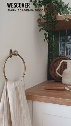 a towel hanging on the wall next to a potted plant and a white vase