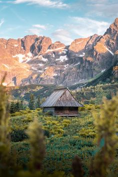 an old cabin in the mountains surrounded by tall grass