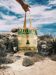 a person holding a bag in the desert