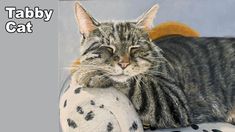 a painting of a cat laying on top of a white and black polka dot ball