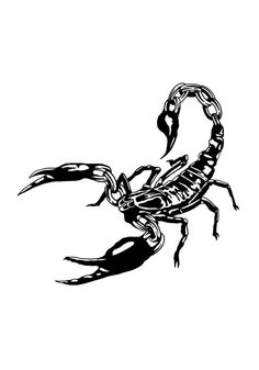 a black and white drawing of a scorpion