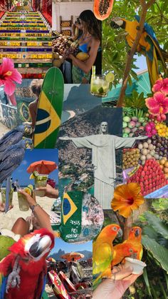 a collage of pictures with birds, flowers, and the statue of christ in rio