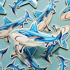 some blue and white stickers with dolphins on them's sides, one in the middle