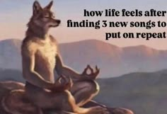 a dog sitting on top of a rock with the words how life feels after finding 3 new songs to put on repeat