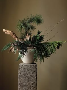 a white vase filled with green plants sitting on top of a stone block next to a wall