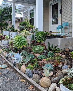 an assortment of succulents and rocks in front of a house